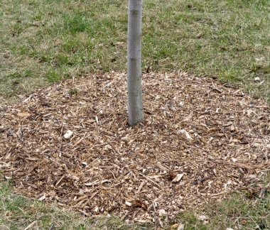 Cache Grass Mulching